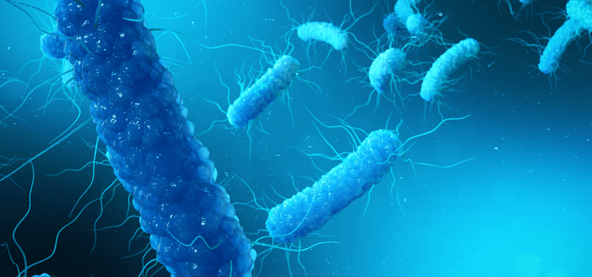 Advancing how bacterial genomes are studied and engineered